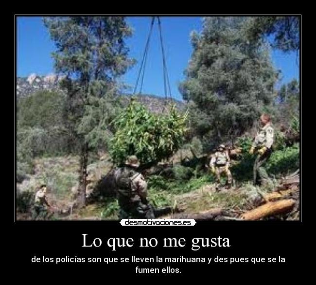 Lo que no me gusta -