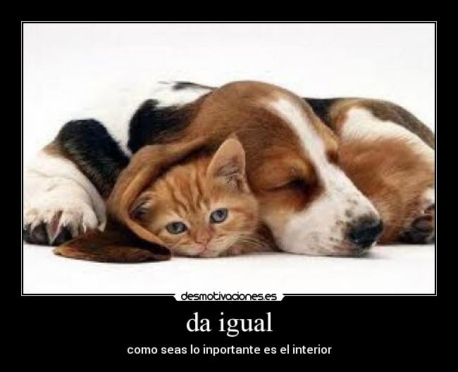 da igual -