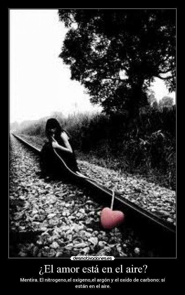 ¿El amor está en el aire? - 