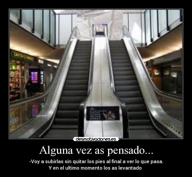 Alguna vez as pensado... -