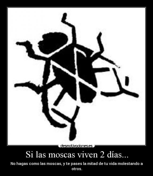 Si las moscas viven 2 días... -