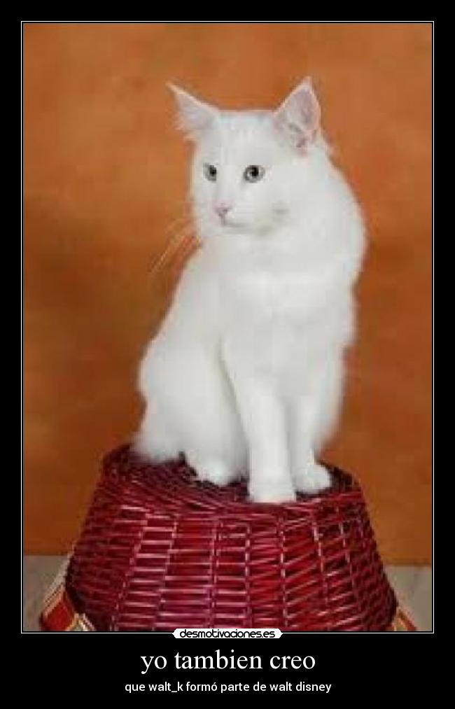 yo tambien creo - que walt_k formó parte de walt disney