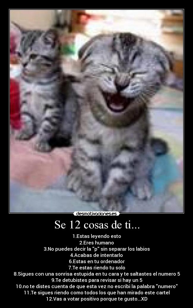 Se 12 cosas de ti... -