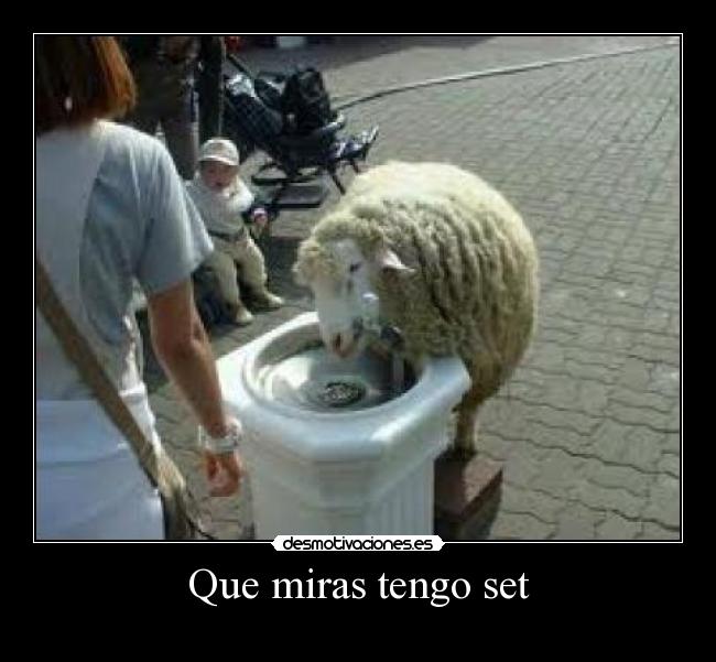 carteles desmotivaciones