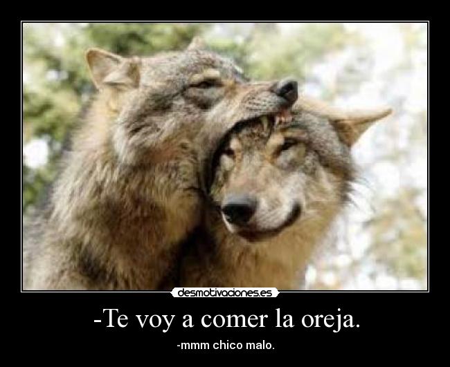 -Te voy a comer la oreja. - 