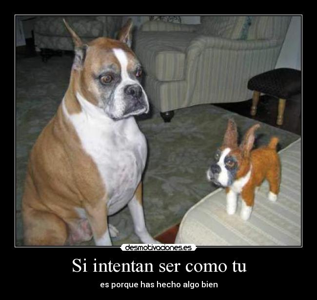 Si intentan ser como tu -