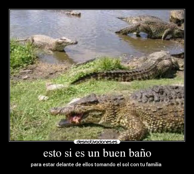esto si es un buen baño - para estar delante de ellos tomando el sol con tu familia