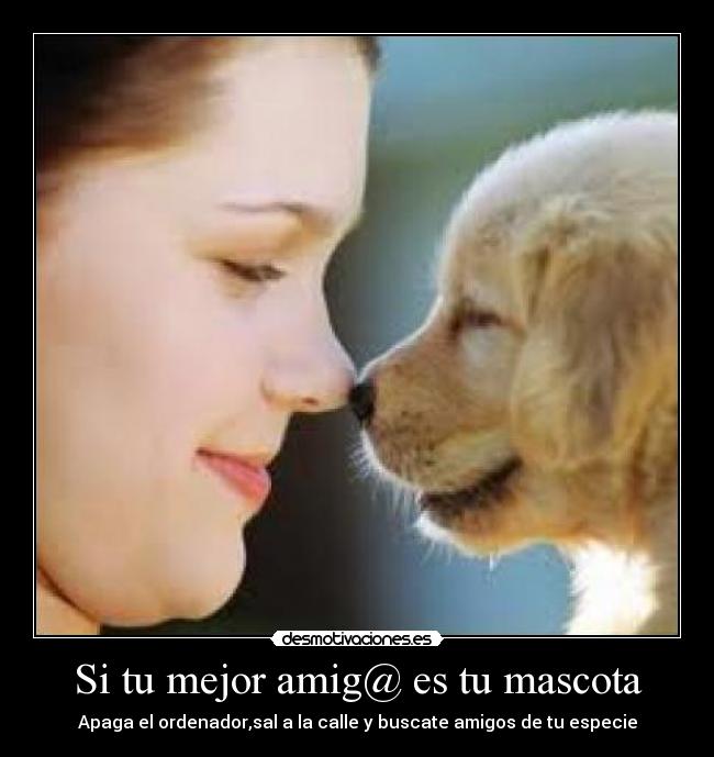 carteles animales desmotivaciones