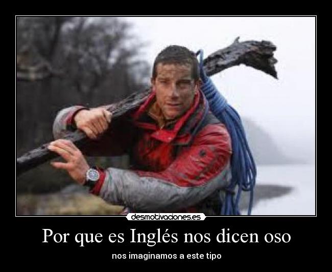 Por que es Inglés nos dicen oso -