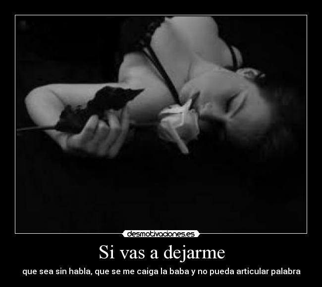 carteles dejarme habla palabra desmotivaciones