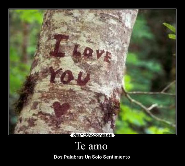 Te amo  - 