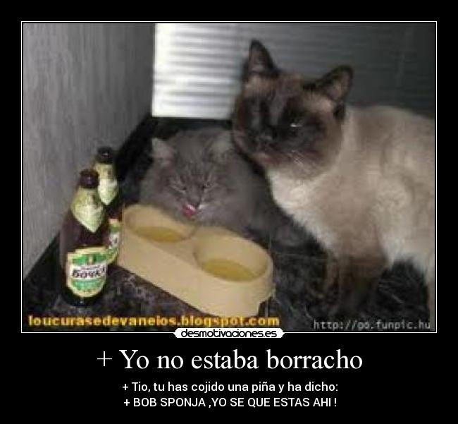 + Yo no estaba borracho - + Tio, tu has cojido una piña y ha dicho:
+ BOB SPONJA ,YO SE QUE ESTAS AHI !