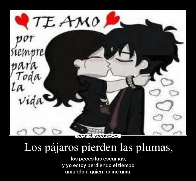 Los pájaros pierden las plumas, -