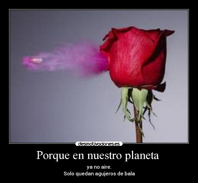Porque en nuestro planeta - ya no aire.
Solo quedan agujeros de bala