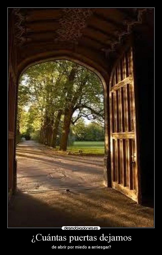 carteles lidialovearoa desmotivaciones