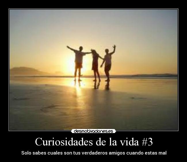 Curiosidades de la vida #3 -