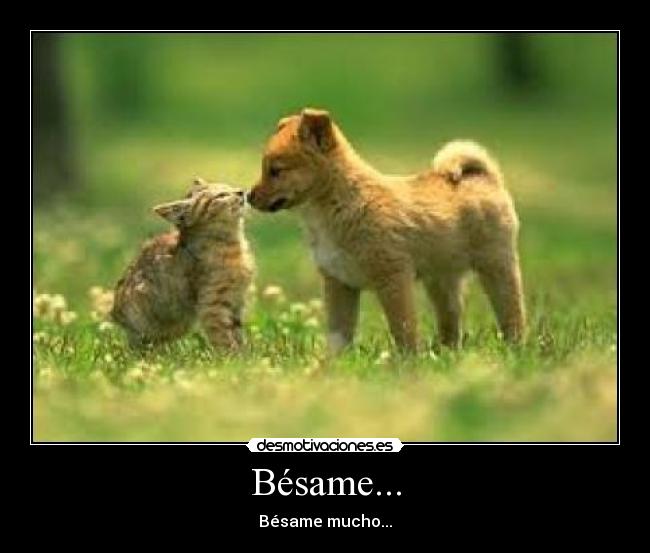 Bésame... - Bésame mucho...