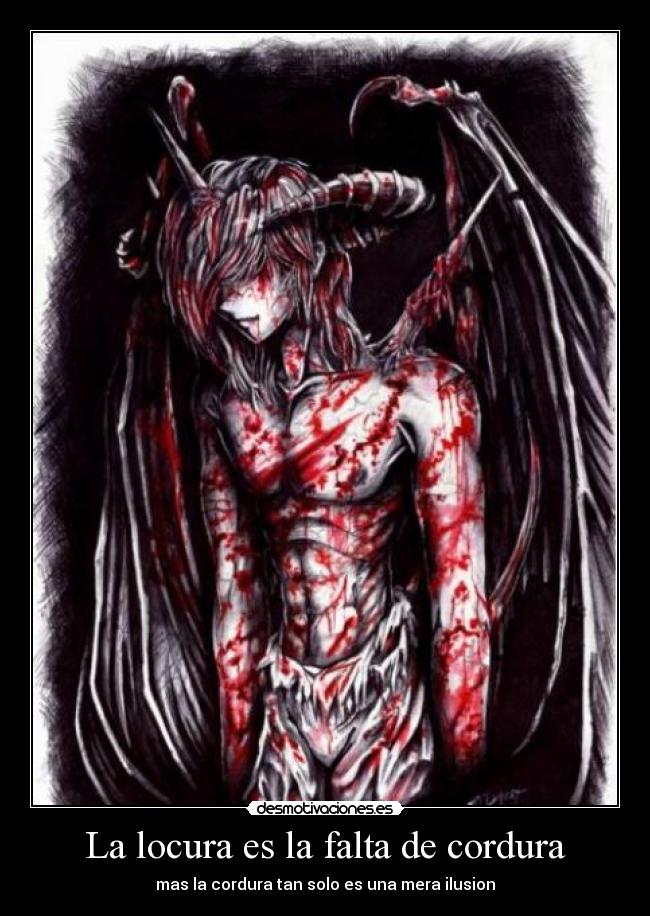 La locura es la falta de cordura -