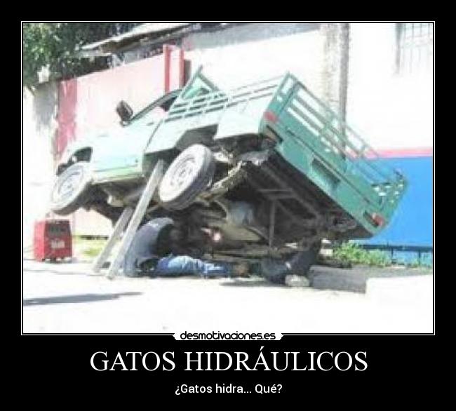 GATOS HIDRÁULICOS - ¿Gatos hidra... Qué?