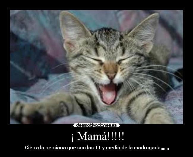 ¡ Mamá!!!!! -