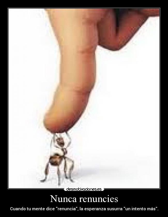 Nunca renuncies -