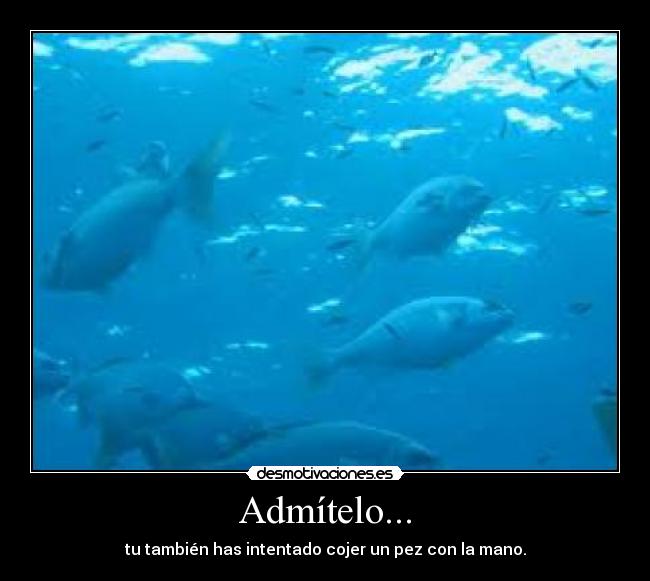 Admítelo... - tu también has intentado cojer un pez con la mano.