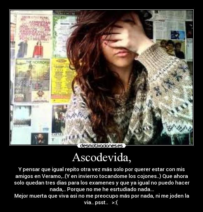 Ascodevida, - Y pensar que igual repito otra vez más solo por querer estar con mis
amigos en Veramo,..(Y en invierno tocandome los cojones..) Que ahora
solo quedan tres dias para los examenes y que ya igual no puedo hacer
nada,.. Porque no me he esrtudiado nada...
Mejor muerta que viva asi no me preocupo más por nada, ni me joden la
via.. psst.. >:(
