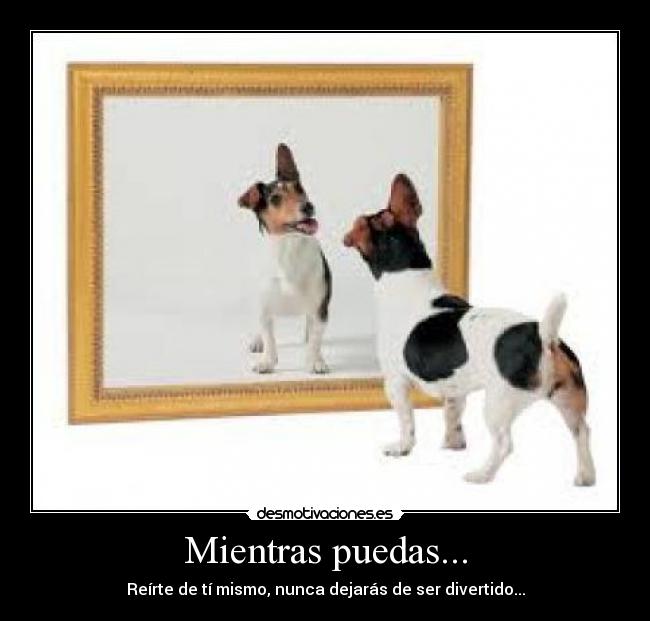 Mientras puedas... - Reírte de tí mismo, nunca dejarás de ser divertido...