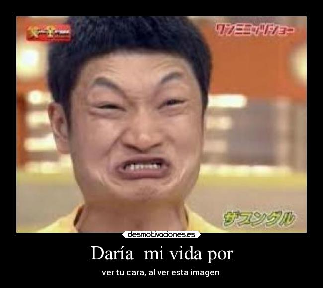 Daría  mi vida por - 