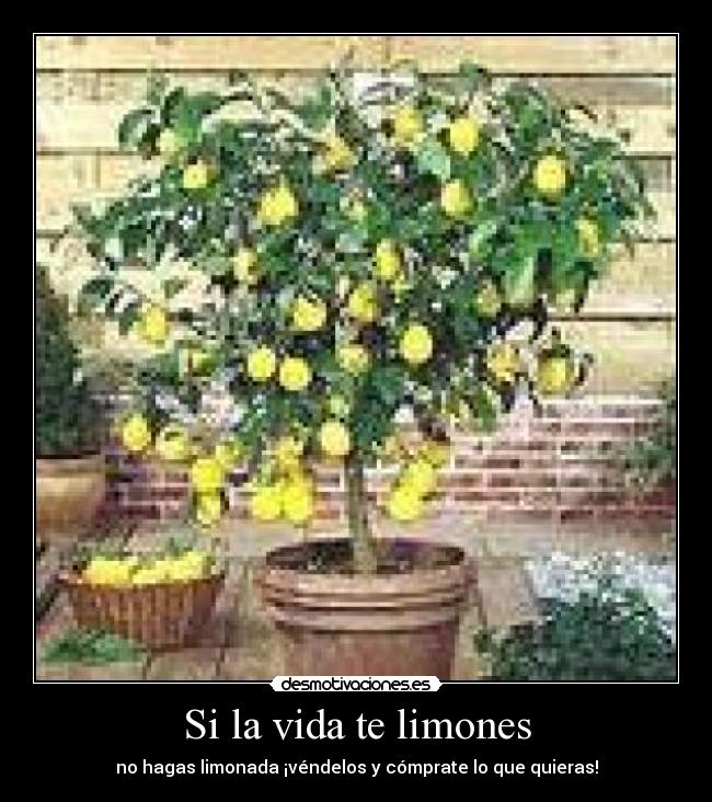 Si la vida te limones - no hagas limonada ¡véndelos y cómprate lo que quieras!
