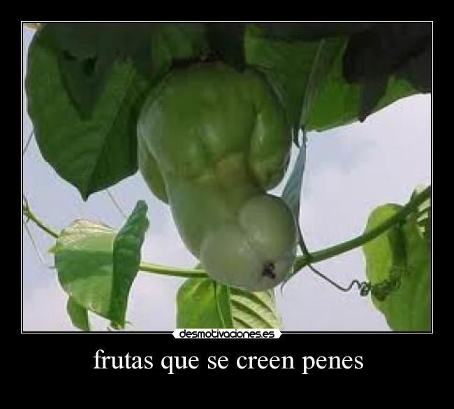 frutas que se creen penes - 