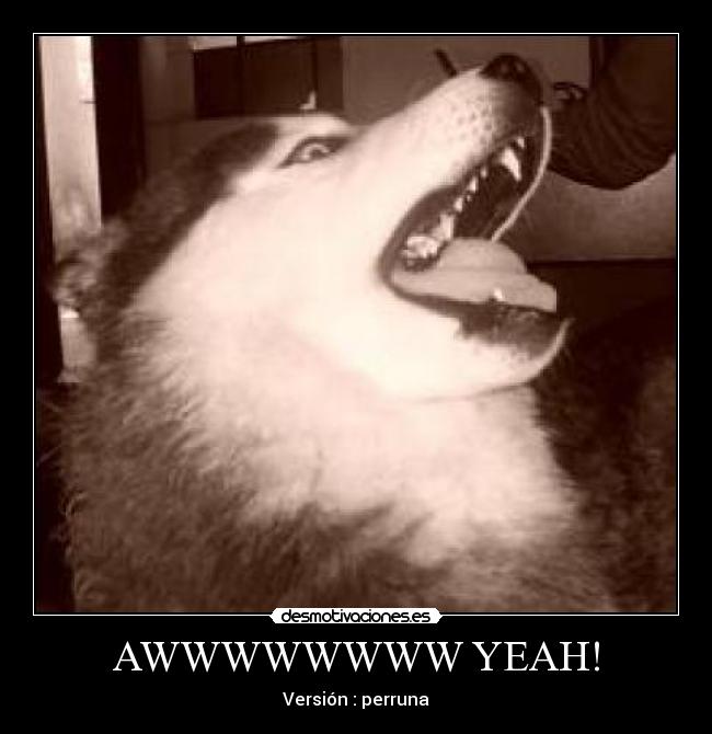 carteles perro desmotivaciones