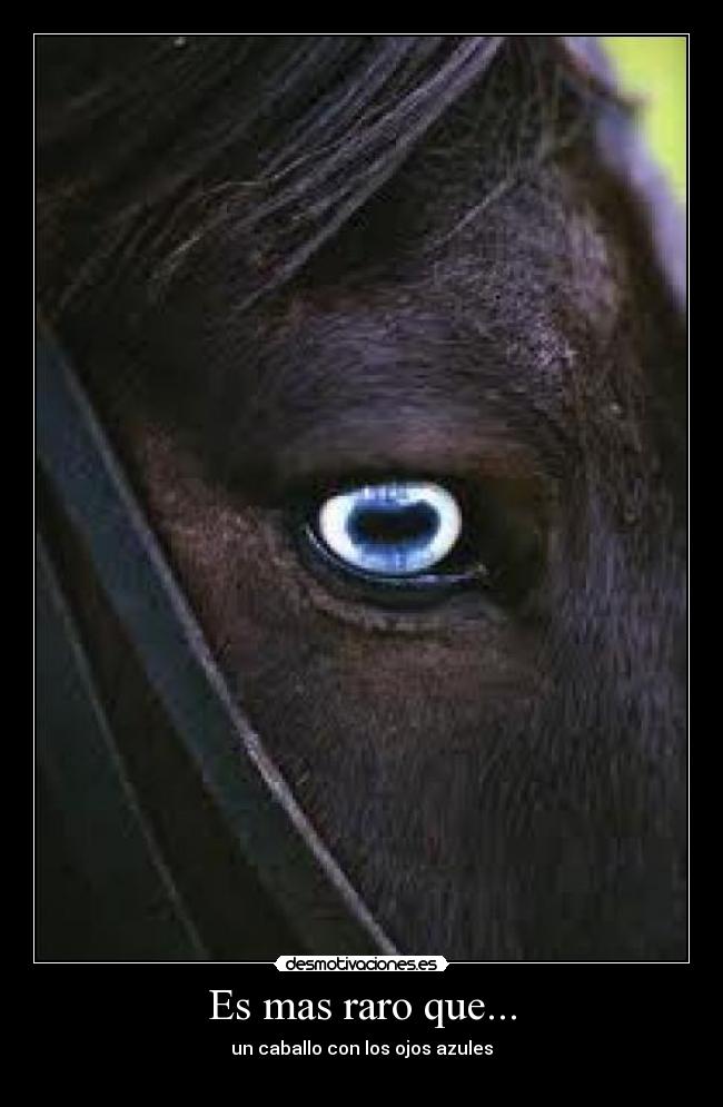 Es mas raro que... -