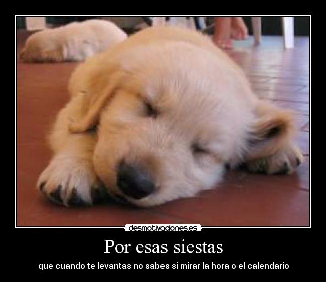 Por esas siestas -