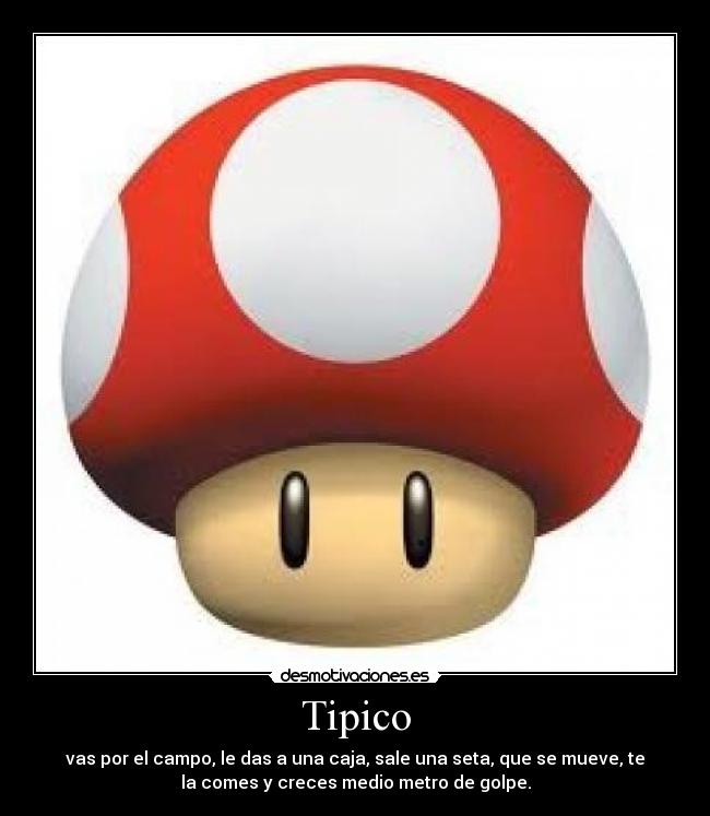 Tipico - 