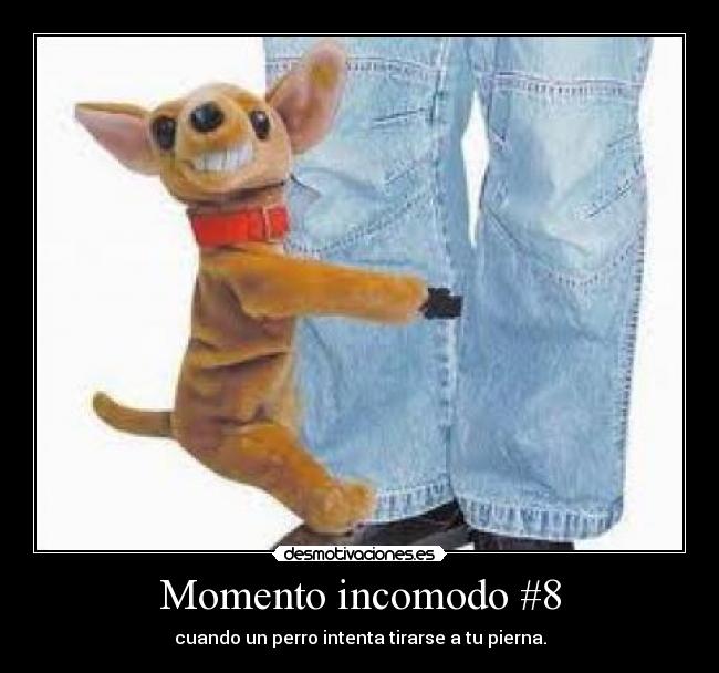 Momento incomodo #8 -
