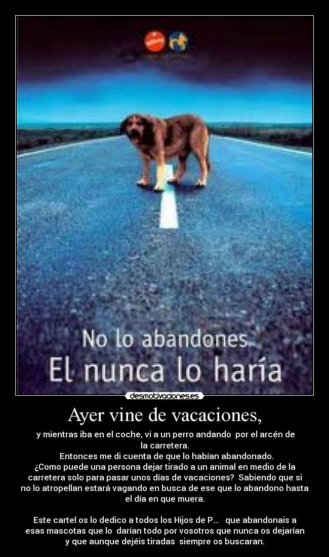 carteles abandonado desmotivaciones