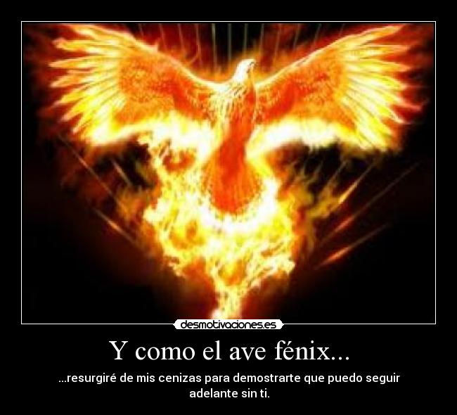 Y como el ave fénix... - ...resurgiré de mis cenizas para demostrarte que puedo seguir adelante sin ti.