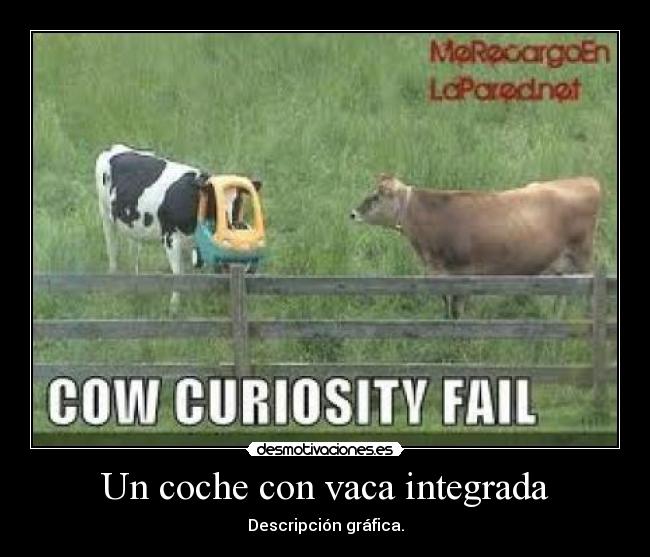 Un coche con vaca integrada - 