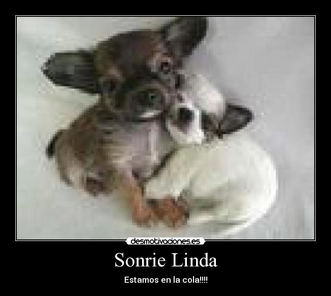 Sonrie Linda -