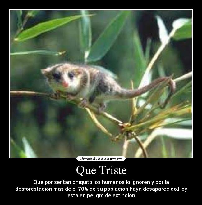 Que Triste -