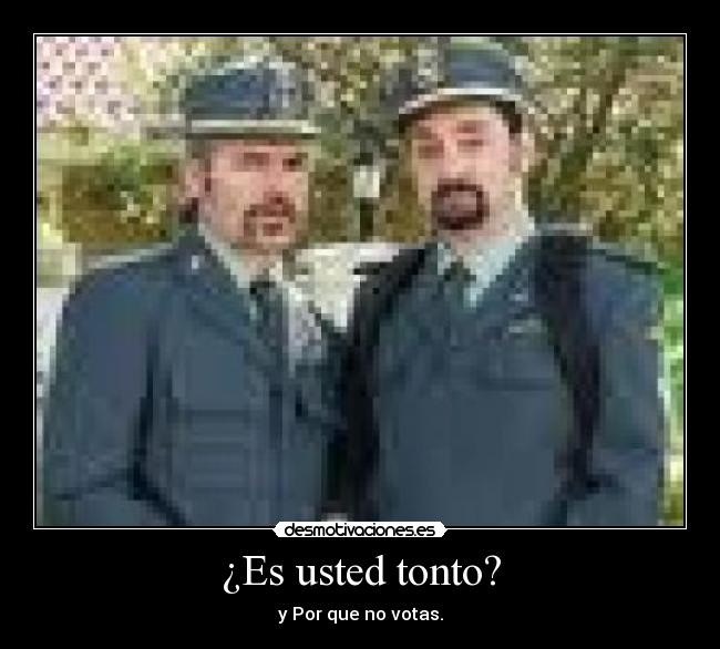 ¿Es usted tonto? - y Por que no votas.