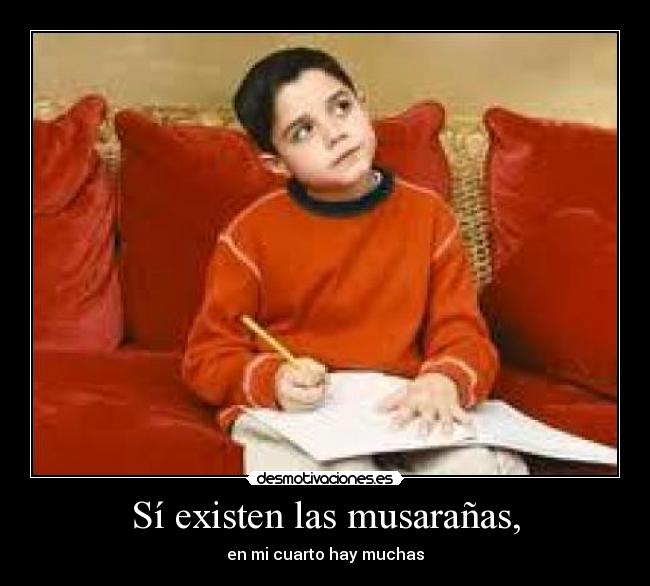 Sí existen las musarañas, - en mi cuarto hay muchas