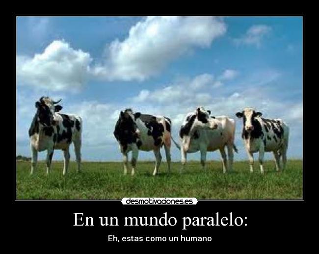 En un mundo paralelo: -