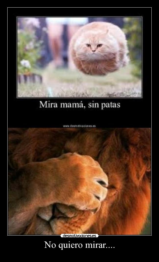 carteles madre decepcionada desmotivaciones