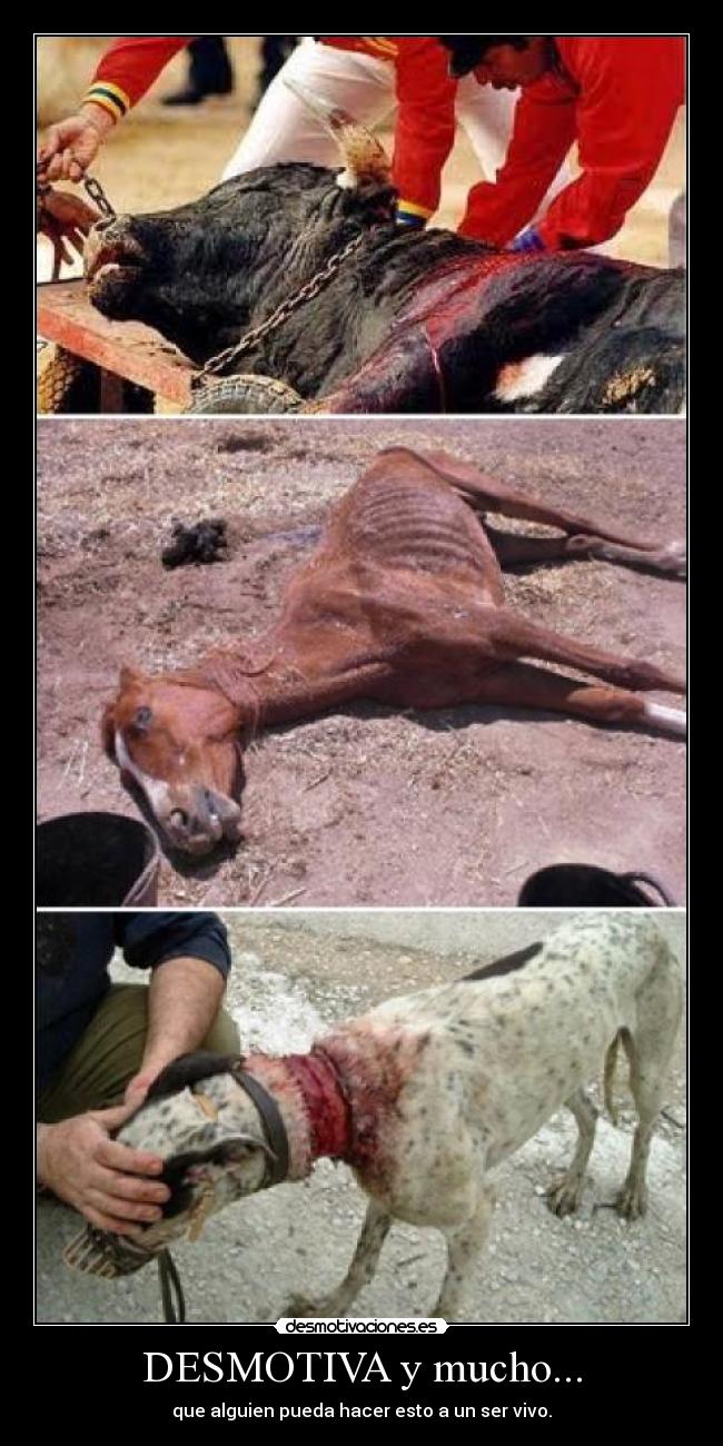 DESMOTIVA y mucho... -