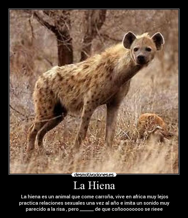 La Hiena -