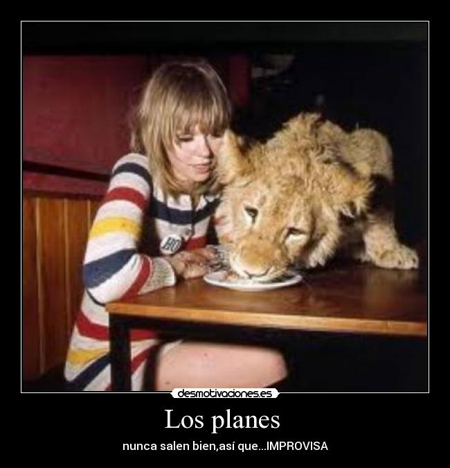 Los planes  - 