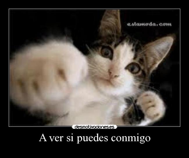 A ver si puedes conmigo -