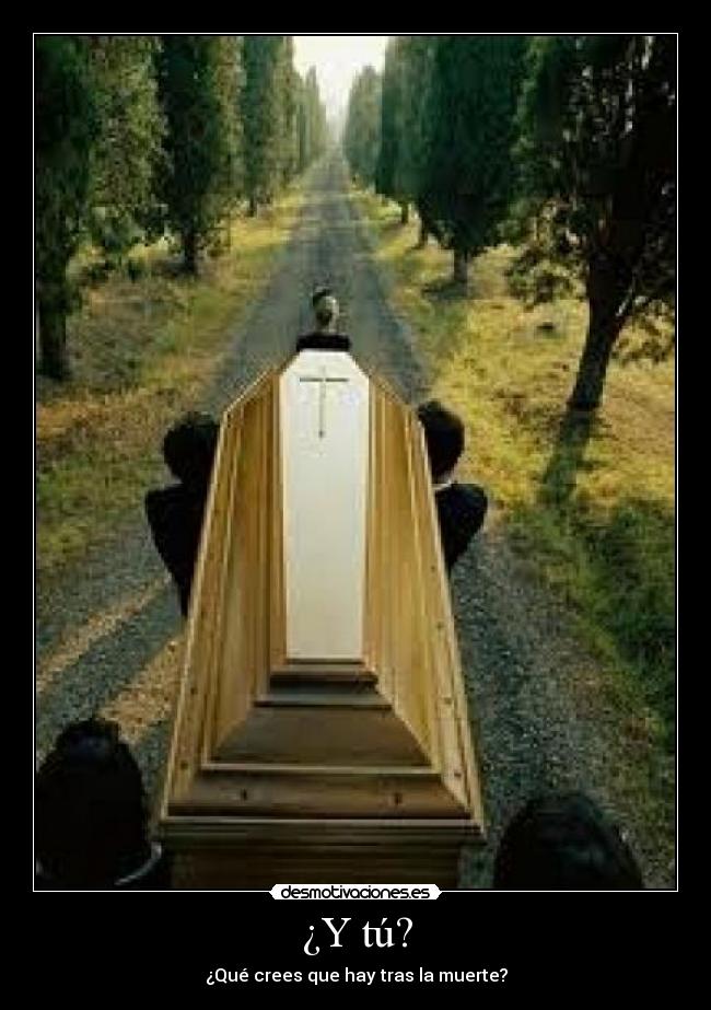 carteles dinosour desmotivaciones